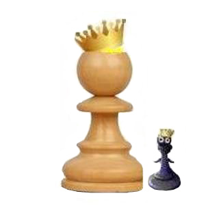 Шахматный турнир «Волшебные шахматы»