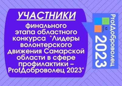Лидеры волонтерского движения Самарской области в сфере профилактики – ProfДоброволец 2023