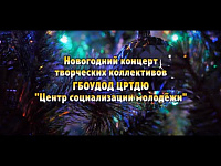 Музыкально - литературная гостиная "Новогодний концерт"